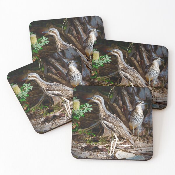 Item preview, Bush stone curlews designed and sold by MargsNaturePix.
