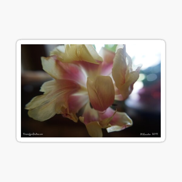 Tulip 3 Sticker
