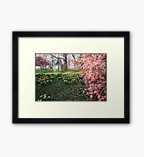 Spring at shaw nature reserve Framed Print
