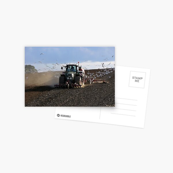 Tractor and gulls Postcard