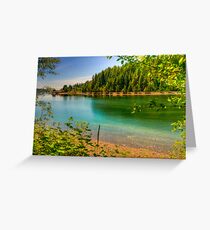 Washington Wonders Greeting Card