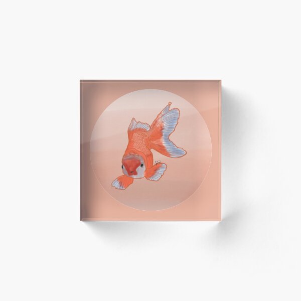 Goldfish Acrylic Block