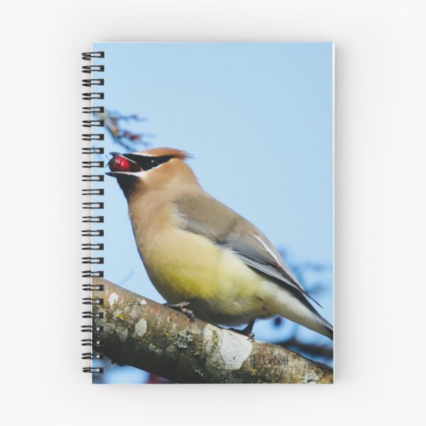 Item preview, Cedar Waxwing with a Rowan Berry designed and sold by Penwortham.