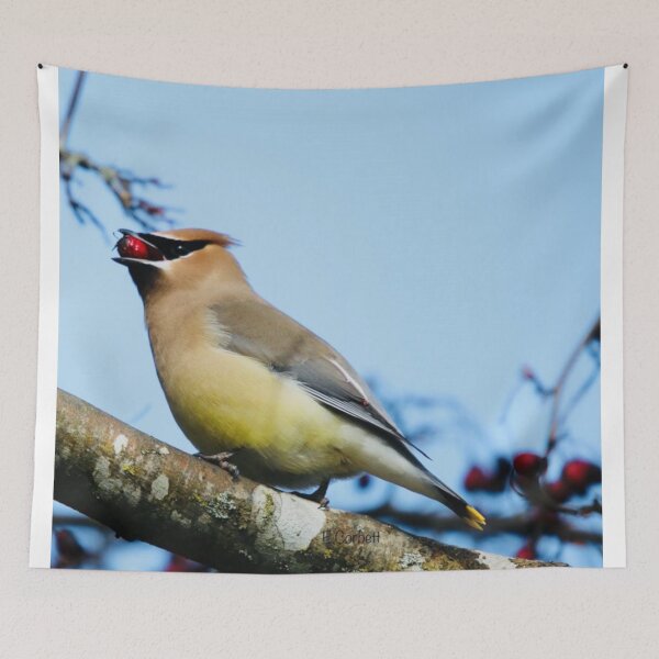 Item preview, Cedar Waxwing with a Rowan Berry designed and sold by Penwortham.