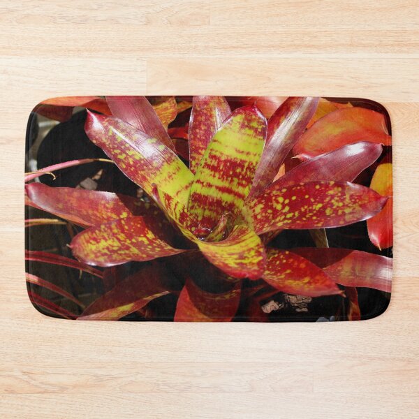 Item preview, Beautiful bromeliad designed and sold by FranWest.