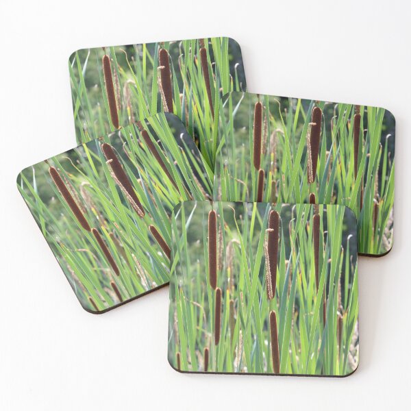 Item preview, Cattails in the Sun designed and sold by Susie Kramer.