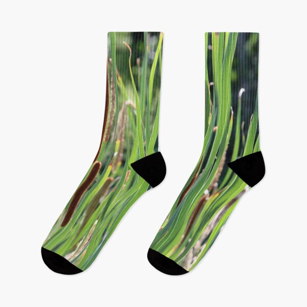 Item preview, Cattails in the Sun designed and sold by Susie Kramer.