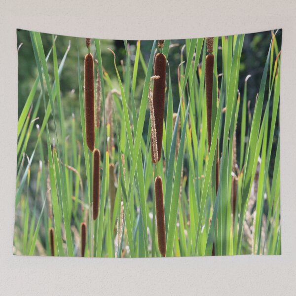 Item preview, Cattails in the Sun designed and sold by Susie Kramer.