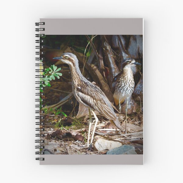 Item preview, Bush stone curlews designed and sold by MargsNaturePix.