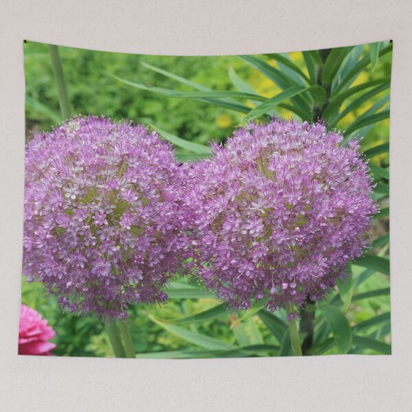 Item preview, Double Giant Purple Allium Flower designed and sold by Susie Kramer.
