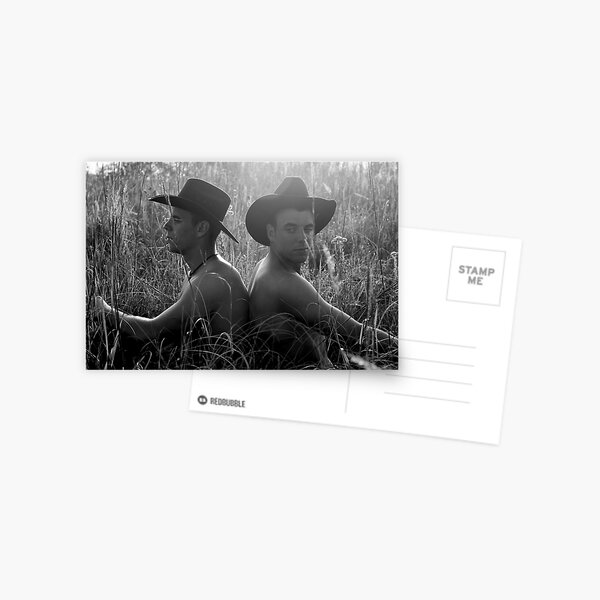 25554bw Postcard