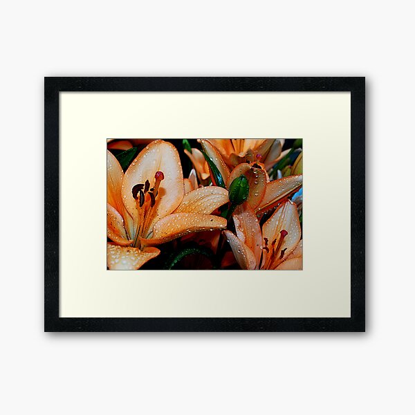 Item preview, Lovely Lilies designed and sold by Tori Snow.