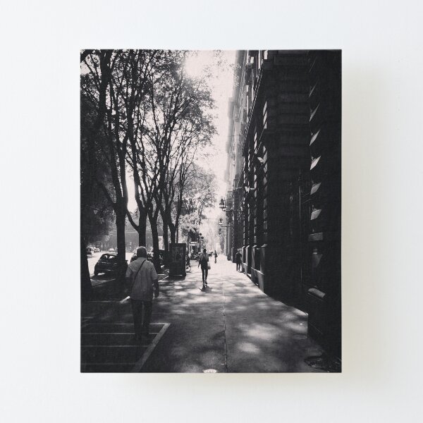 Canvas Mounted Print