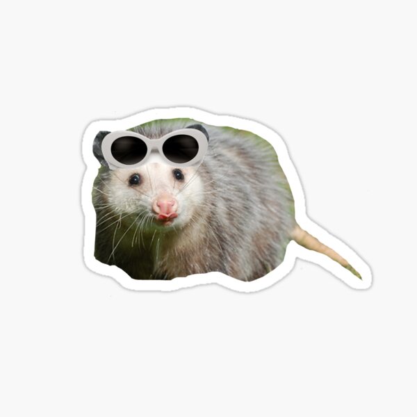 Aperçu de l'œuvre Diva Opossum créée et vendue par Brenna Langdon.
