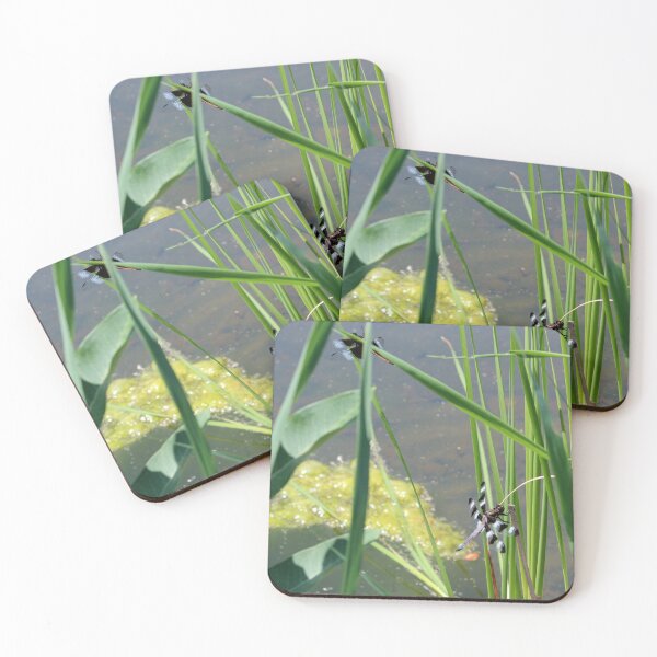 Item preview, Dragonfly by the Pond designed and sold by Susie Kramer.