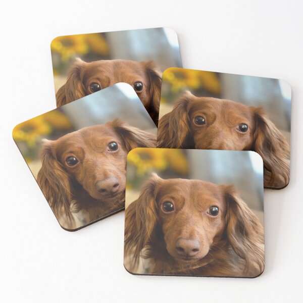 Item preview, Lord Seymour Wiener designed and sold by BunnyLou2020.
