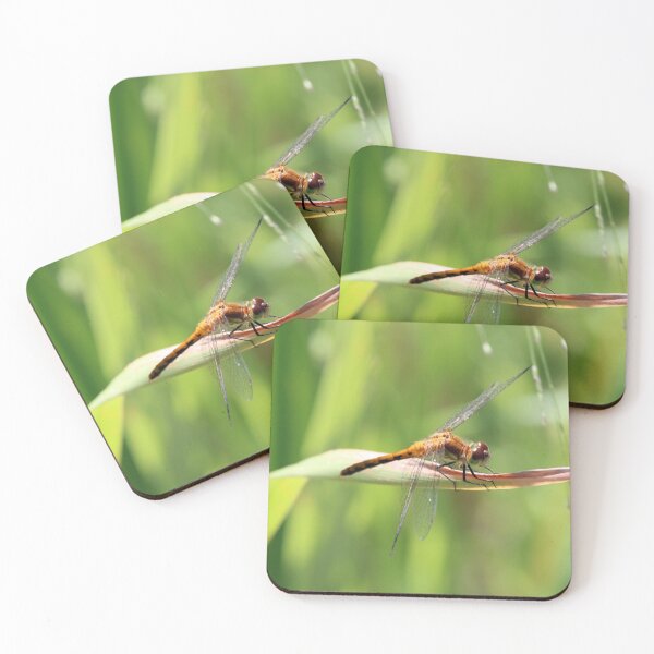 Item preview, Dragonfly on a Leaf designed and sold by Susie Kramer.