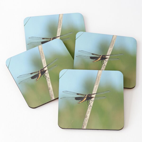 Item preview, Dragonfly on a Stick designed and sold by Susie Kramer.