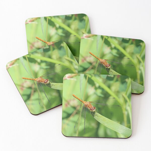 Item preview, Dragonfly on a Blade of Grass designed and sold by Susie Kramer.