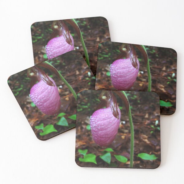Item preview, Pink Lady Slipper designed and sold by QGPennyworth.