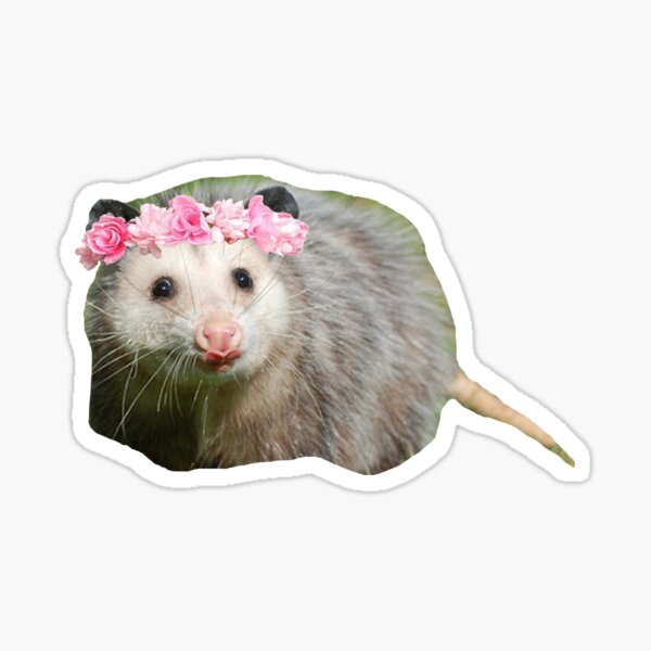 Item preview, Floral Opossum  designed and sold by Brenna Langdon.