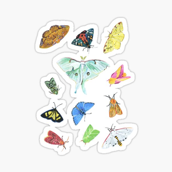 Vivid Moths Sticker