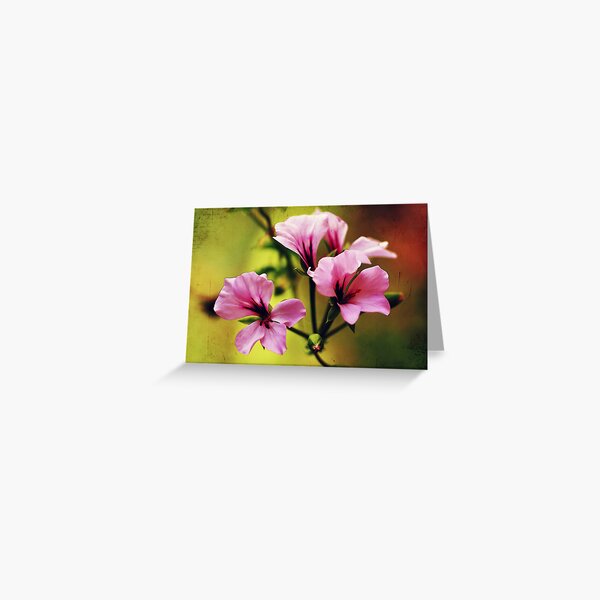 Sunset Embrace.... Greeting Card