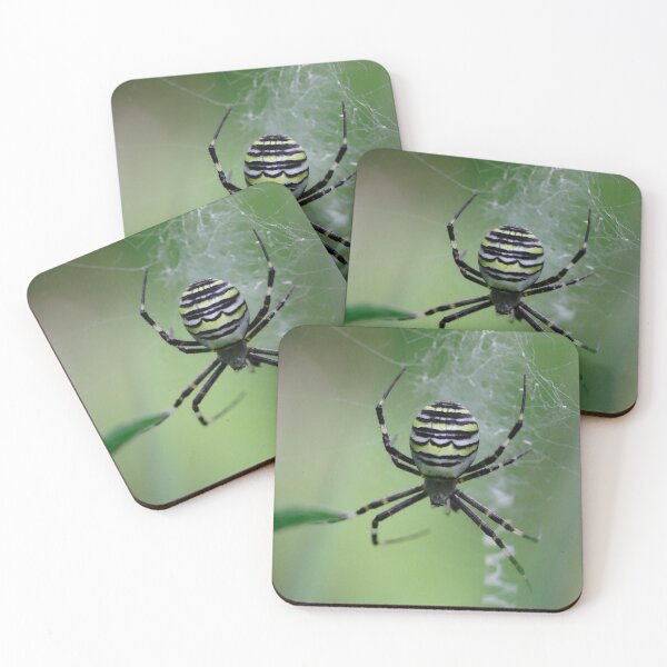 Item preview, Argiope bruennichi designed and sold by Mythos57.