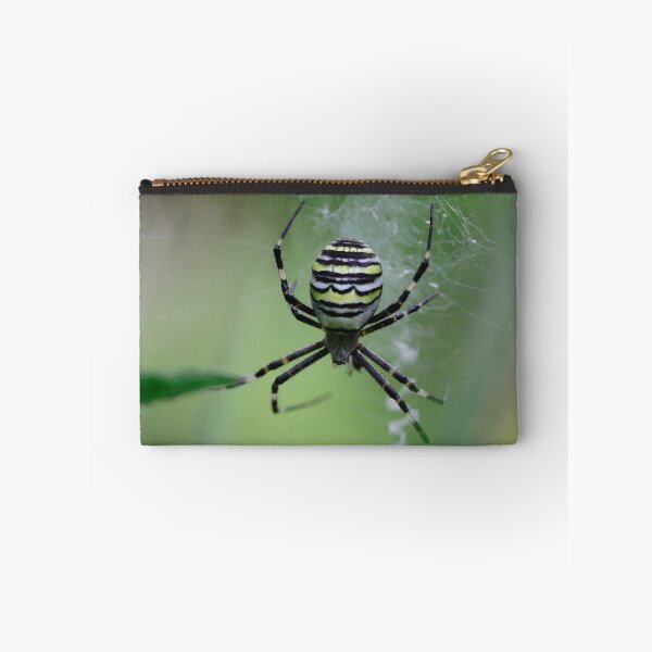 Item preview, Argiope bruennichi designed and sold by Mythos57.