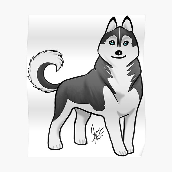 Husky - Black and White Poster