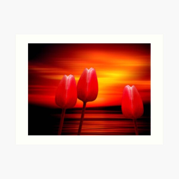 Sunset Point Art Print