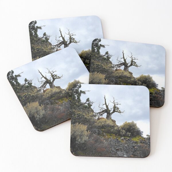 Item preview, Barren Beauty on Smith Rock designed and sold by MomentofPercep.