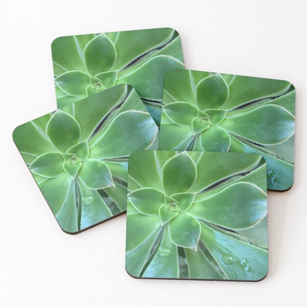 Item preview, Succulent Plant designed and sold by Pauline O'Brien.