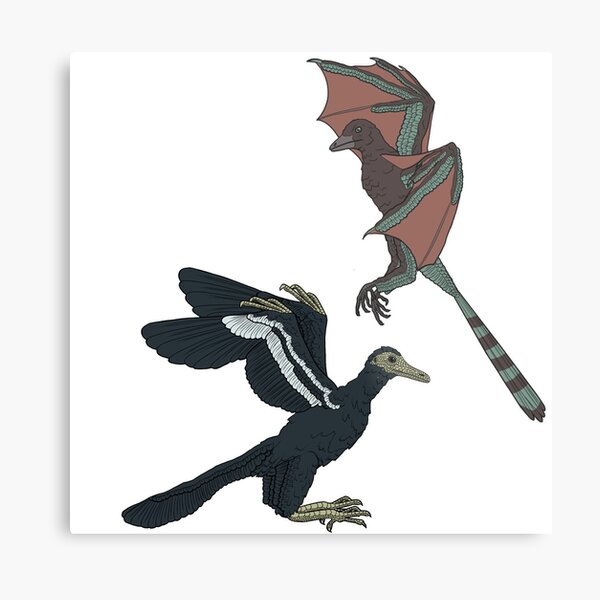 Archaeopterx and Yi qi Metal Print