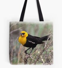 Yellow Headed Blackbird Tote Bag