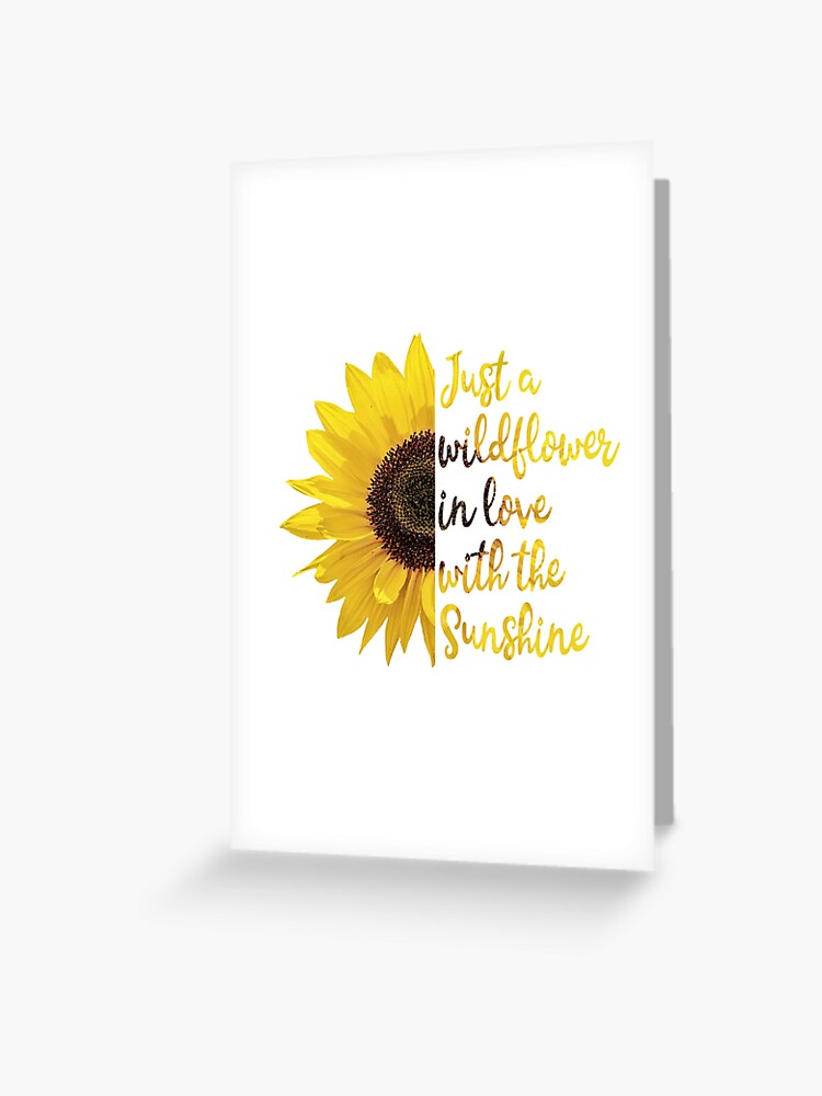 Johnny&#39;s - sunflower-love  Summer Lovin - Yellow, Red, Pink, and Bicolor Sunflower