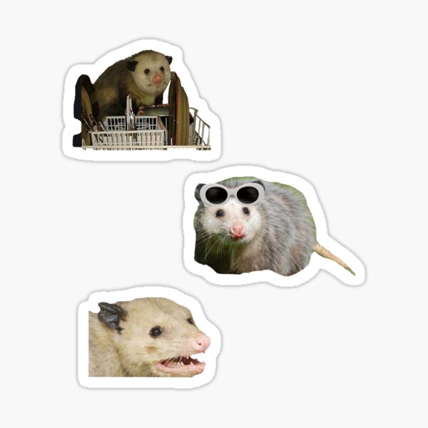 Opossum Trio Sticker Pack  Sticker