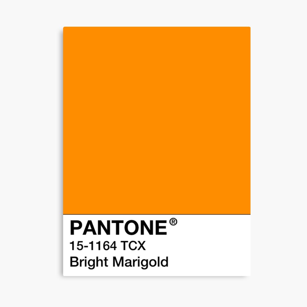 Lamina Fotografica Pantone Bright Marigold Naranja De Mushroom Gorge Redbubble