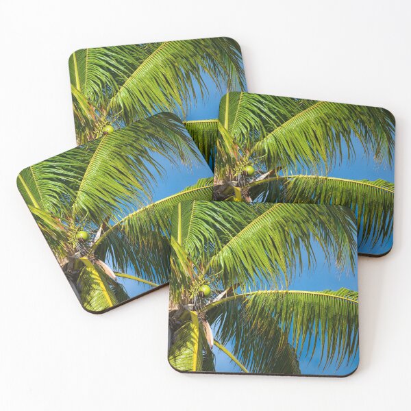 Item preview, Coconut designed and sold by Gaël FONTAINE.