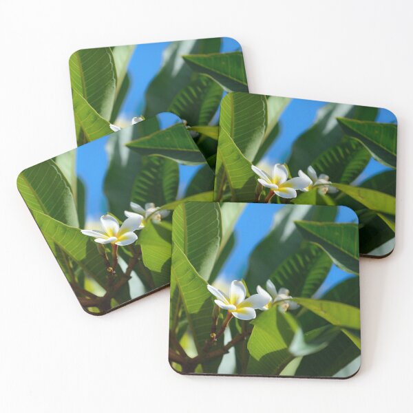 Item preview, Frangipani Plumeria flowers designed and sold by Gaël FONTAINE.