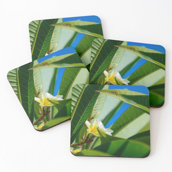 Item preview, Frangipani Plumeria flowers designed and sold by Gaël FONTAINE.