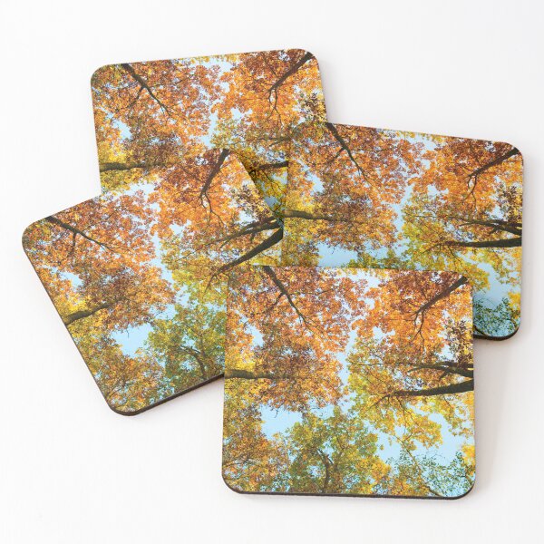 Item preview, Fall foliage designed and sold by Gaël FONTAINE.