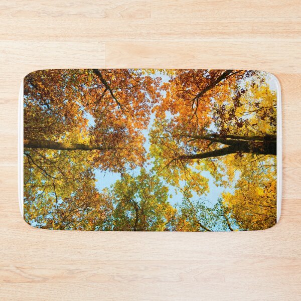 Item preview, Fall foliage designed and sold by Gaël FONTAINE.
