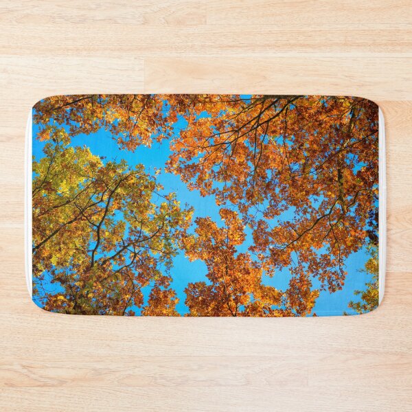 Item preview, Fall foliage designed and sold by Gaël FONTAINE.