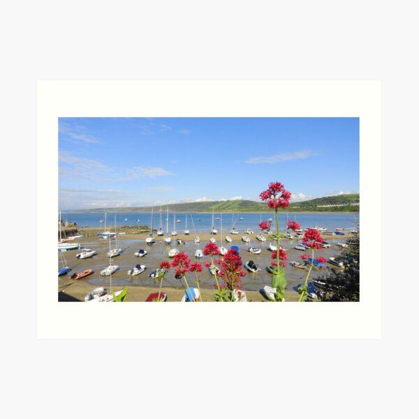 New Quay Harbour Wales Art Print
