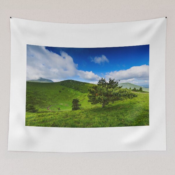 Item preview, Pariou Puy designed and sold by Gaël FONTAINE.