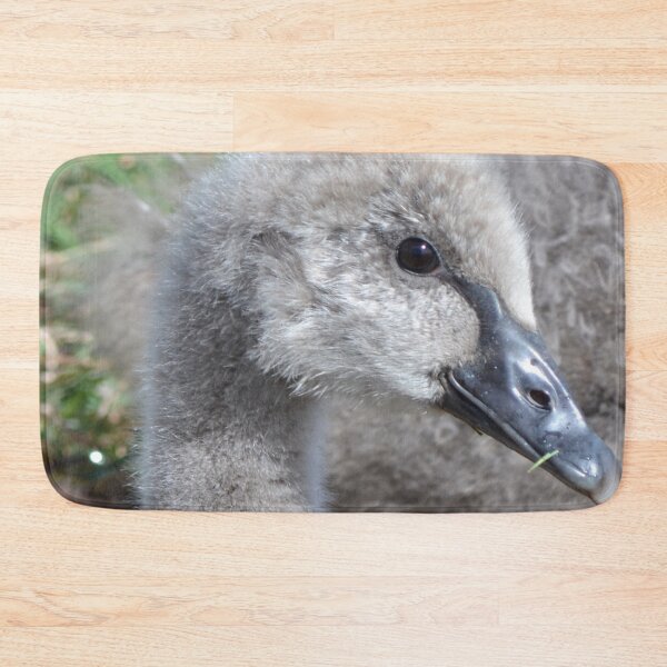 Item preview, Fluffy, close-up designed and sold by lizdomett.