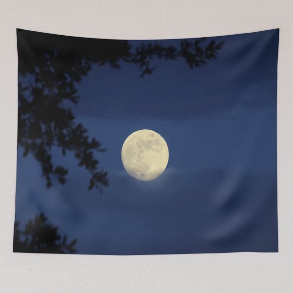 Item preview, Moonlight  designed and sold by JackieSparrow23.