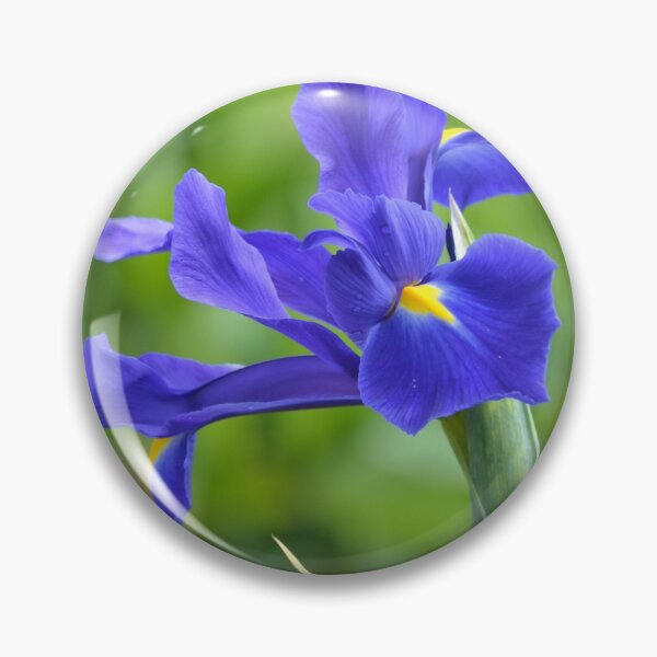 Item preview, Iris versicolor designed and sold by lizdomett.