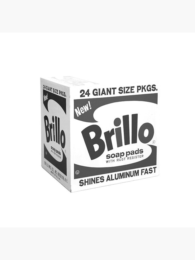 Andy Warhol's Brillo Boxes